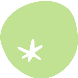 Vector